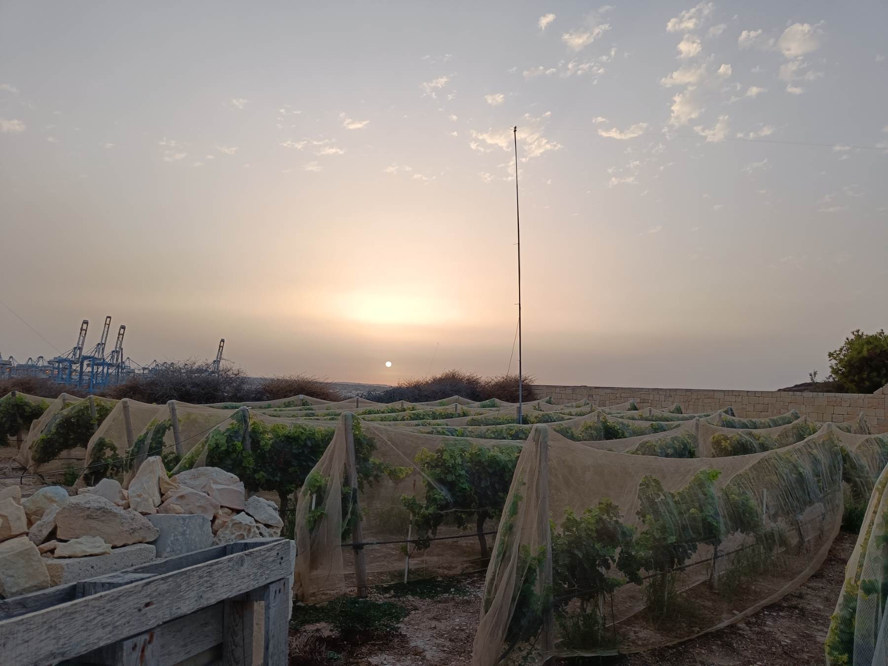 Seniorenbetreuung & Alltagshilfe in Leichlingen – Unsere Dienstleistungen im Überblick